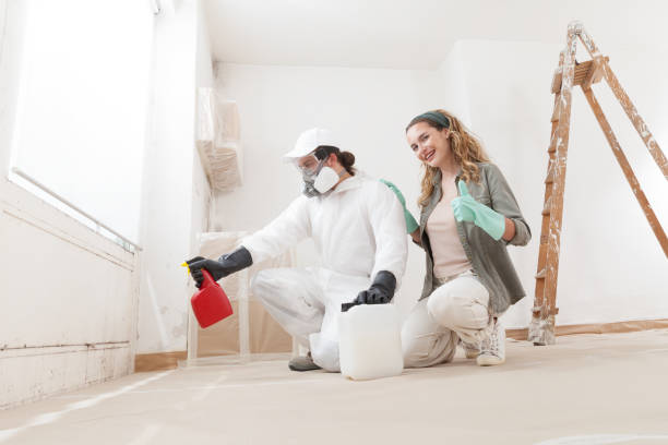 Best Mold Odor Removal Services  in Hopkinsville, KY